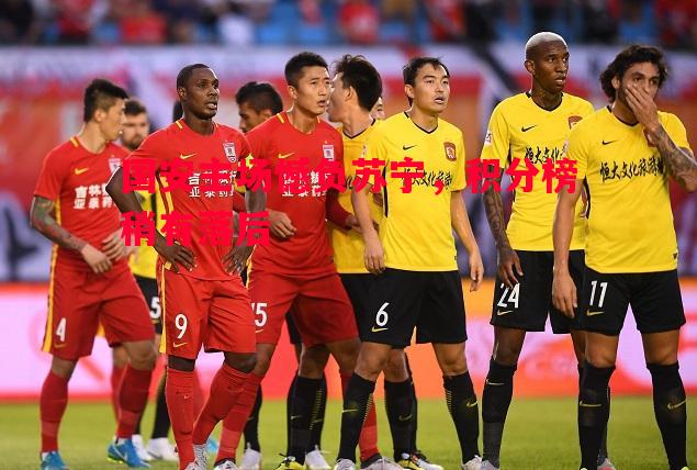 国安主场憾负苏宁，积分榜稍有落后