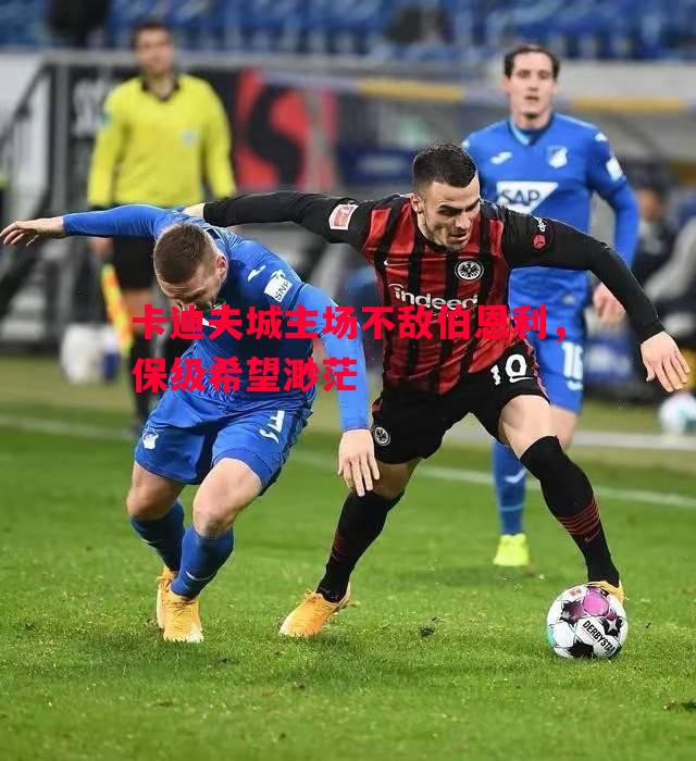 卡迪夫城主场不敌伯恩利，保级希望渺茫