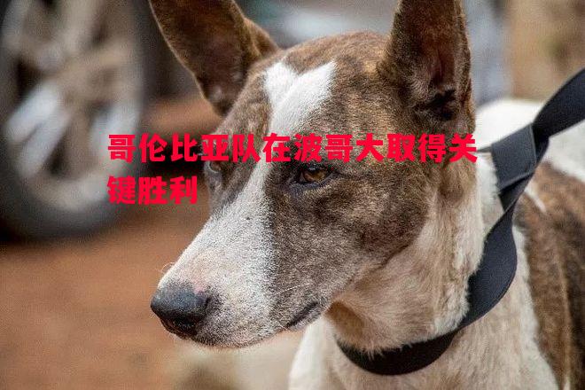 哥伦比亚队在波哥大取得关键胜利