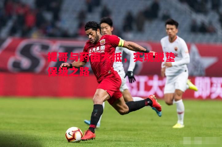 提哥与药茵大抵，实现脱垫保级之路