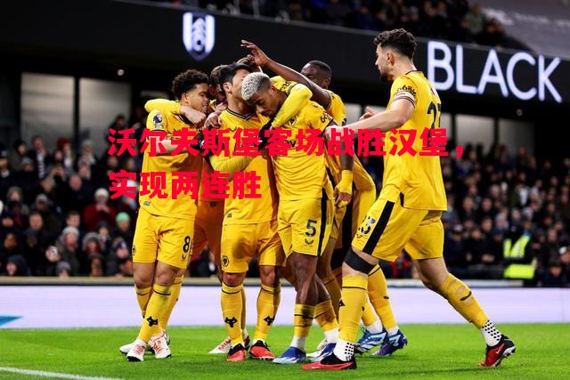 沃尔夫斯堡客场战胜汉堡，实现两连胜