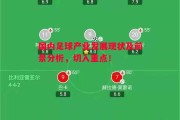 德信体育-国内足球产业发展现状及前景分析，切入重点！